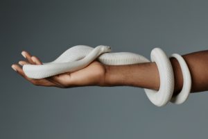 白蛇の夢を見ると奇跡が起きるか？大きな白蛇の夢、小さい白蛇のスピリチュアルな意味 