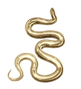 強力な金運アップ壁紙②：金色の蛇